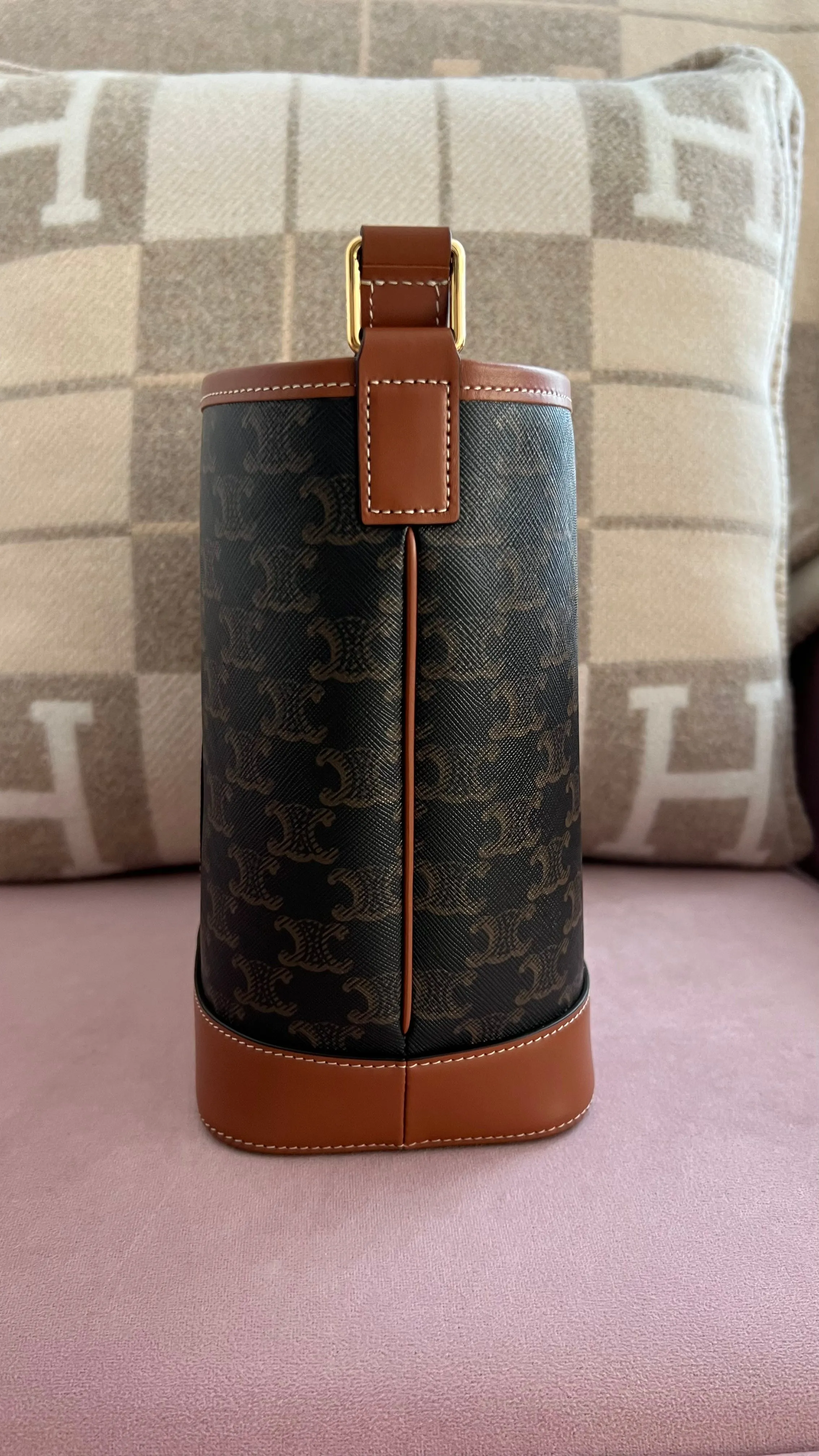 Celine Triomphe Bucket Bag