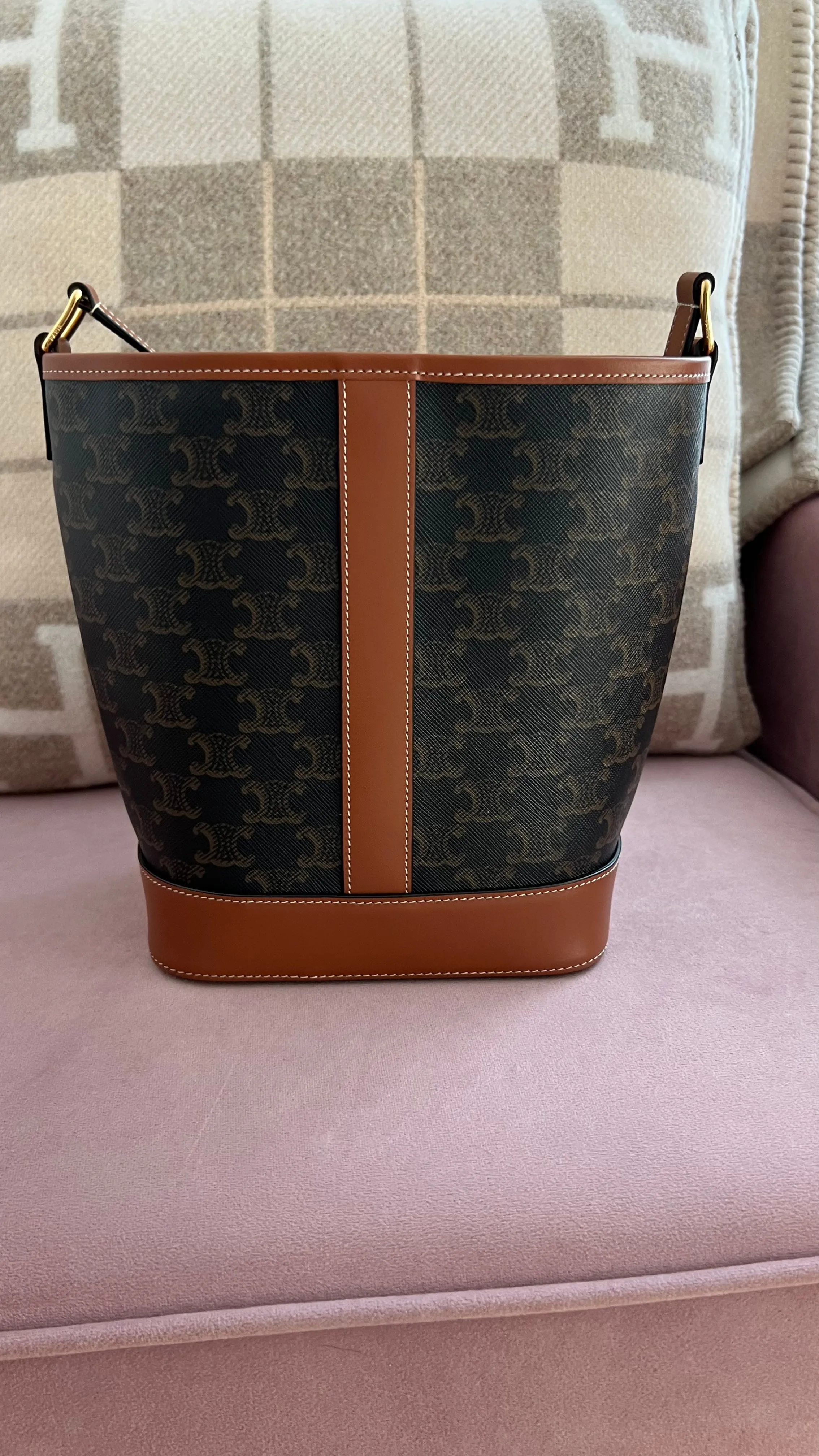 Celine Triomphe Bucket Bag